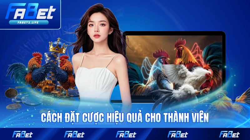 Cách đặt cược hiệu quả cho thành viên mới FABET