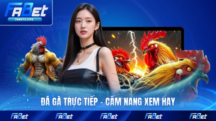 Đá Gà Trực Tiếp - Cẩm Nang Xem Hay Không Phải Ai Cũng Biết
