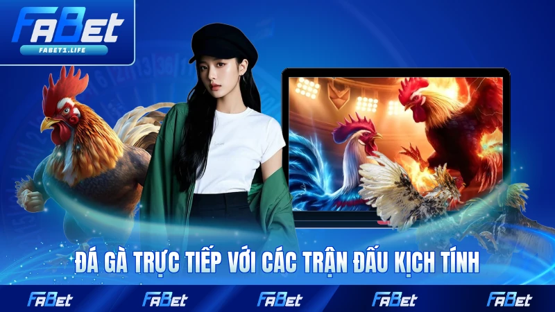 Đá gà trực tiếp với các trận đấu kịch tính