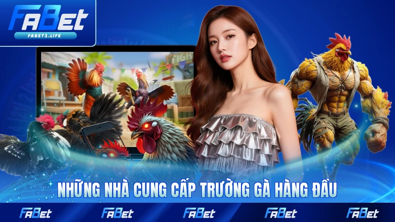 Những nhà cung cấp trường gà hàng đầu nổi tiếng nhất tại FABET